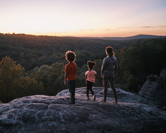 kids overlooking a forest