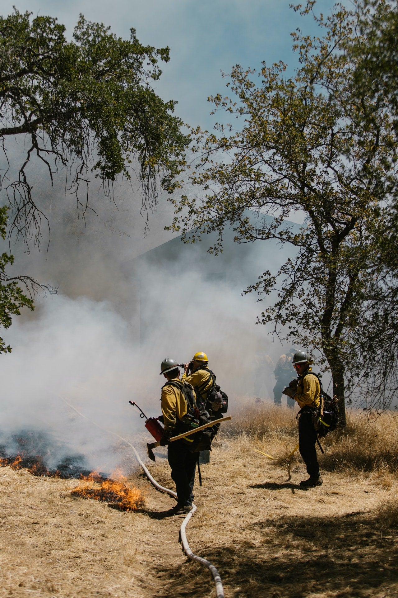 Wildfires 101 firefighters putting out fires